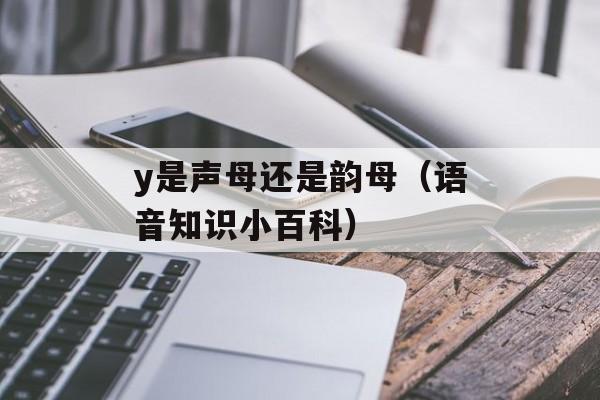 夏洛特烦恼西瓜影音（观影福利，让你轻松找到高清资源）-第1张图片-