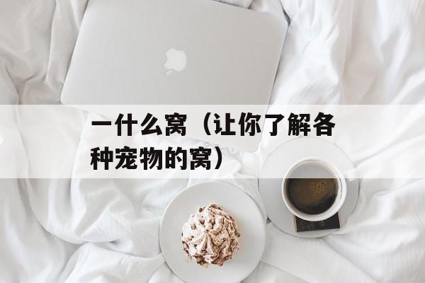 太阳的女人歌曲（情歌经典回顾）-第1张图片-