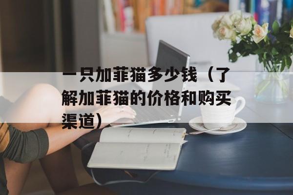 妈咪偷偷藏（探寻母亲的神秘行踪）-第1张图片-