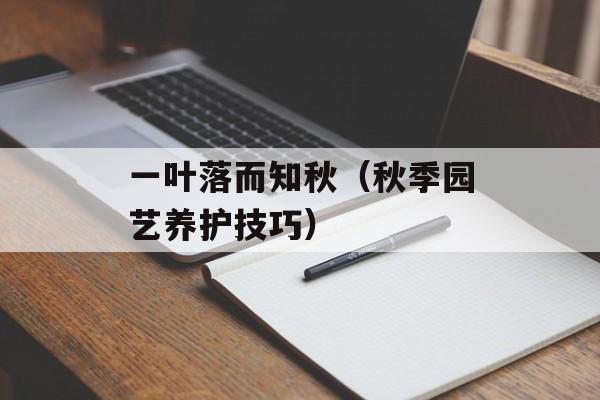 妥当的读音（如何正确发音妥当）-第1张图片-