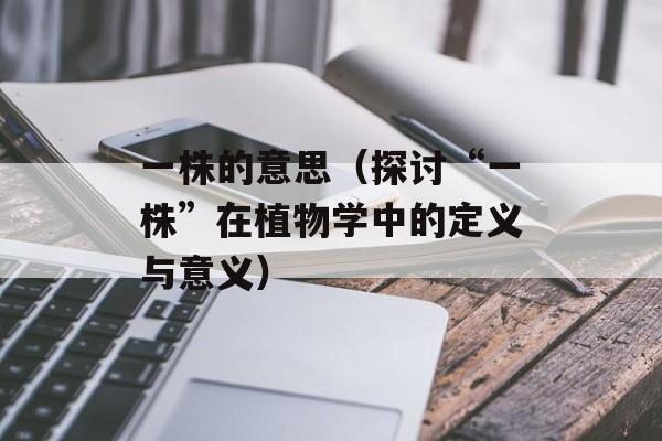 小于1g的单机游戏（精品小游戏推荐）-第1张图片-
