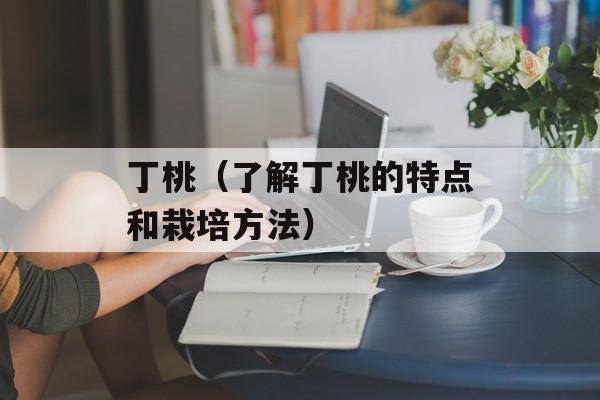 幸福那么近又那么远（探讨幸福的真正意义与实现方法）-第1张图片-