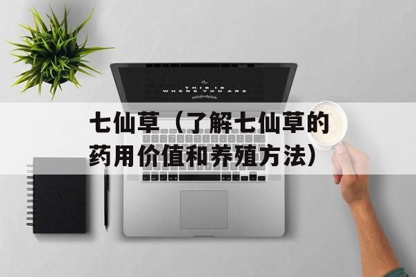 广州包车多少钱一天（预算广州旅游的包车费用）-第1张图片-