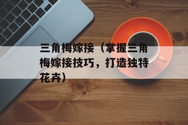 我淘网（淘宝网的新名字？）-第1张图片-
