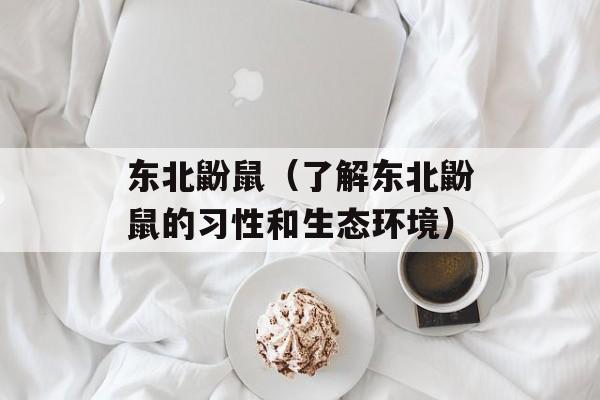 暌违逾十年（回顾十年间的变化与发展）-第1张图片-