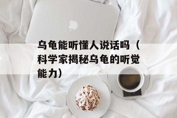 清风卡盟补单（卡盟补单流程和注意事项）-第1张图片-