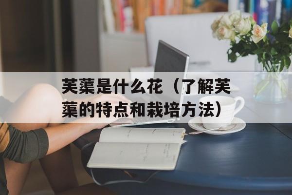 红酒醒酒方法，醒酒红酒教程-第1张图片-
