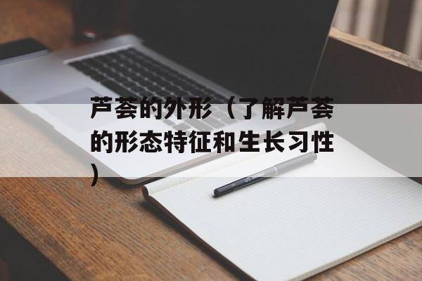 细粉条怎么做好吃，细粉条怎么做好吃-第1张图片-