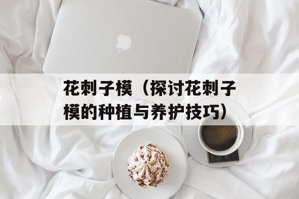 给宝宝煲汤用什么锅好，给宝宝煲汤用什么锅-第1张图片-
