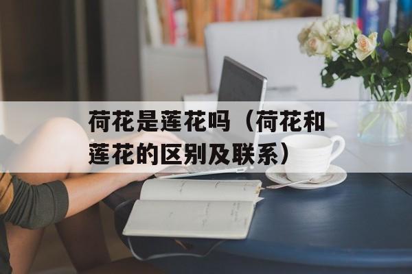 腐竹和什么配菜炒好吃，腐竹和什么配菜凉拌好吃-第1张图片-