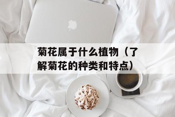 自制烤面包片，自制烤面筋步骤-第1张图片-