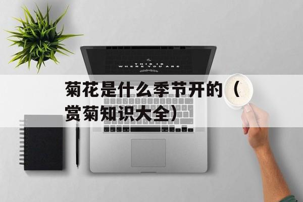 自制热干面的做法视频，自制热干面的做法窍门-第1张图片-