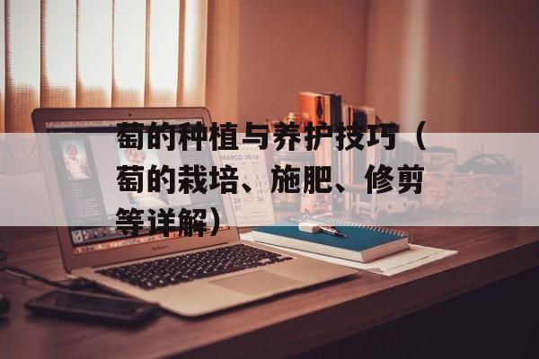 自己家做麻辣烫的做法，自己家做麻辣烫方法窍门-第1张图片-