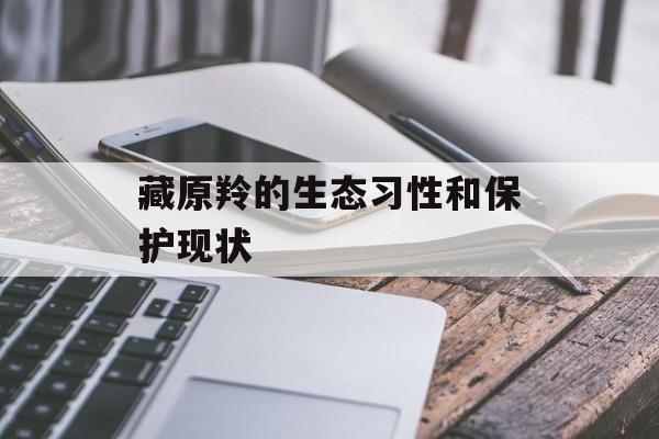 苹果种类，苹果种类图片和名称-第1张图片-