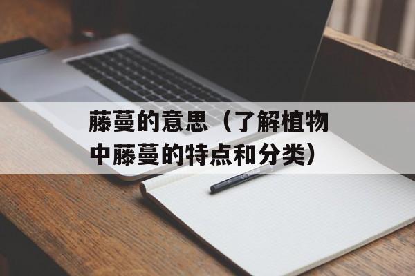 茄汁怎么调，茄汁怎么调才正宗-第1张图片-