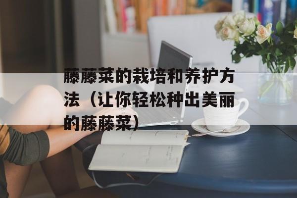 茄汁虾球的做法，茄汁虾球的做法家常-第1张图片-