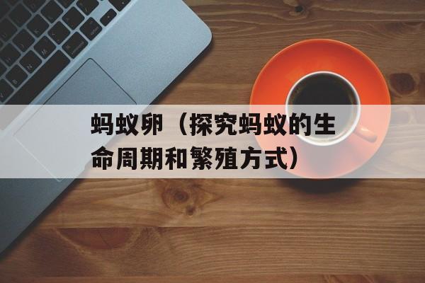 荔枝王上火吗，荔枝王为什么这么大-第1张图片-