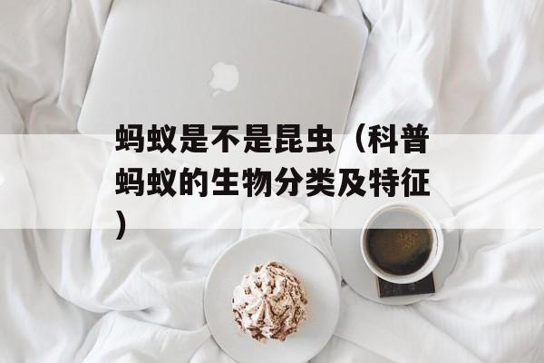 荔枝网app官方下载，-第1张图片-