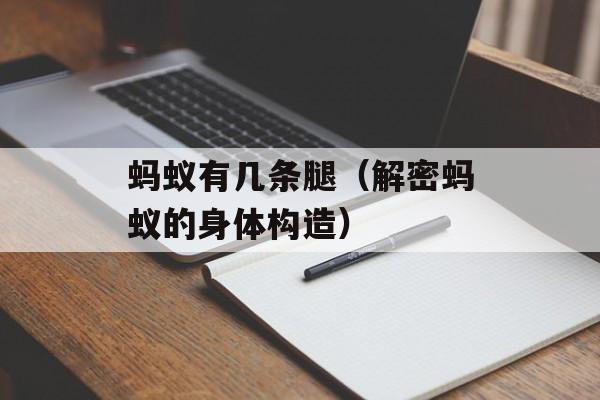 荔枝花束怎么做，荔枝花束能存放2个晚上吗-第1张图片-