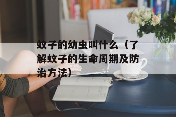 荞麦面真的是零脂肪吗，荞麦面真的是零脂肪的吗-第1张图片-