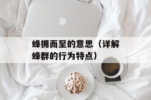 菊花茶的用途，菊花茶的副作用-第1张图片-