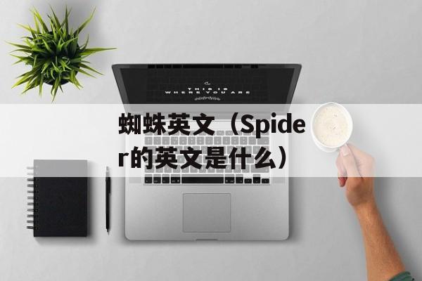 菜谱大全家常菜肉食，菜谱大全家常菜的做法书籍-第1张图片-