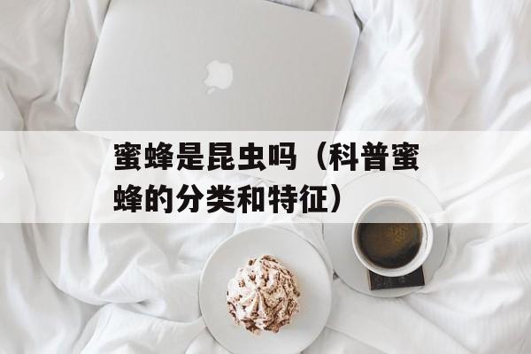 菜酿，菜酿的家常做法-第1张图片-