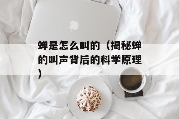 菠萝的英文怎么写，菠萝的英文怎么写单词-第1张图片-