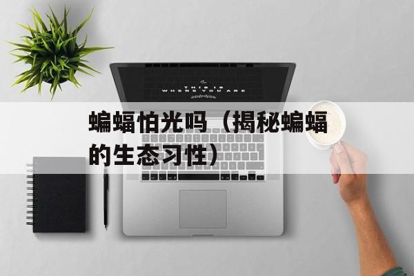 萝卜吃米洛在哪直播，萝卜吃米洛在哪里直播-第1张图片-
