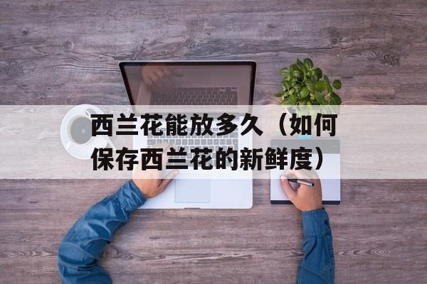 蔬菜沙拉的做法和材料减肥，蔬菜沙拉的做法和材料视频-第1张图片-