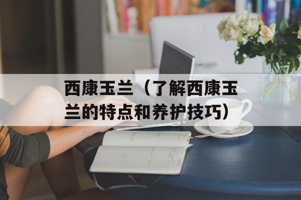 蘸水面西红柿鸡蛋汁子的做法，-第1张图片-
