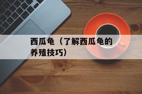 虾滑豆腐汤的做法大全家常，虾滑豆腐汤的做法大全-第1张图片-