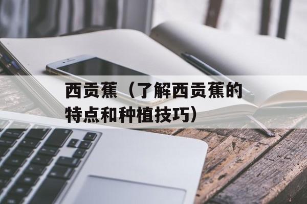 虾粥怎么做才好吃，虾粥怎么做才好吃-第1张图片-