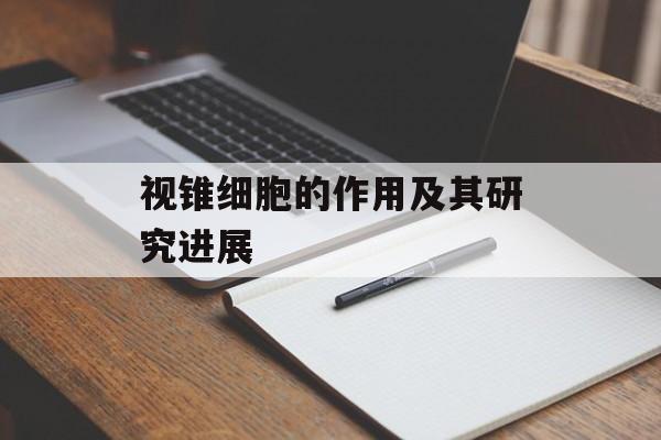 蛋炒饭怎么样做才好吃 ，蛋炒饭怎么样做才好吃-第1张图片-