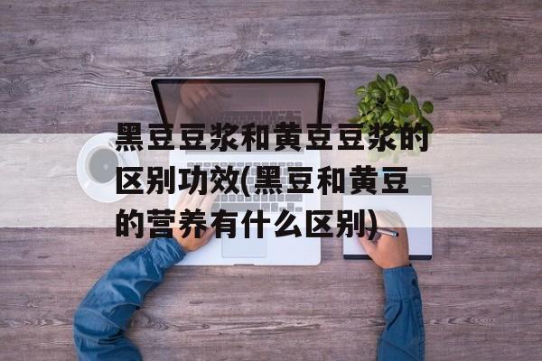 黑豆豆浆和黄豆豆浆的区别功效(黑豆和黄豆的营养有什么区别)-第1张图片-