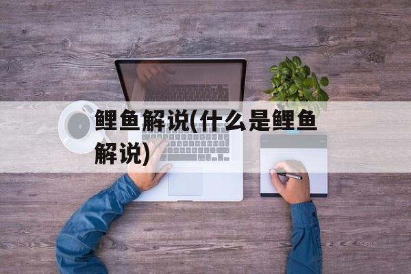 鲤鱼解说(什么是鲤鱼解说)-第1张图片-