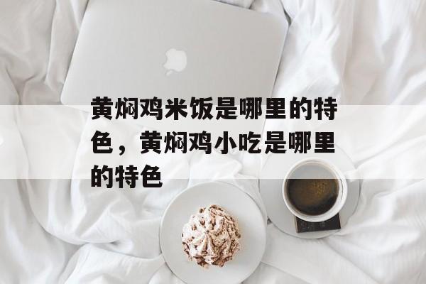 黄焖鸡米饭是哪里的特色，黄焖鸡小吃是哪里的特色-第1张图片-