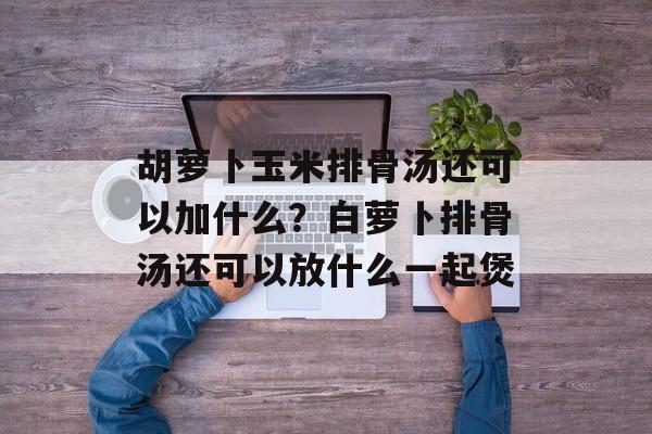 胡萝卜玉米排骨汤还可以加什么？白萝卜排骨汤还可以放什么一起煲-第1张图片-
