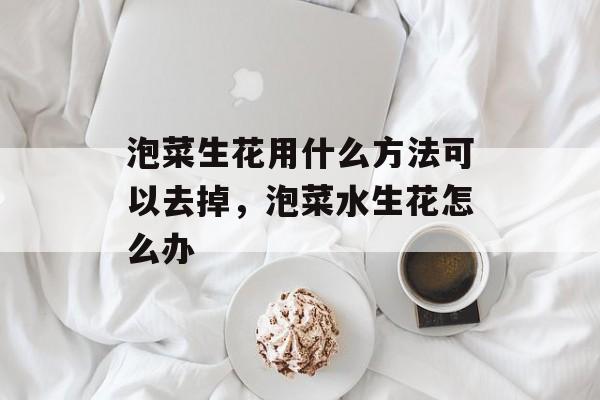 泡菜生花用什么方法可以去掉，泡菜水生花怎么办-第1张图片-