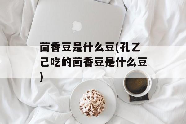 茴香豆是什么豆(孔乙己吃的茴香豆是什么豆)-第1张图片-