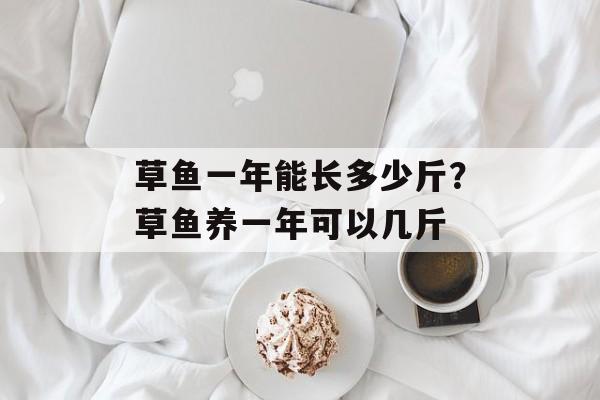草鱼一年能长多少斤？草鱼养一年可以几斤-第1张图片-