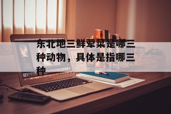 东北地三鲜荤菜是哪三种动物，具体是指哪三种-第1张图片-