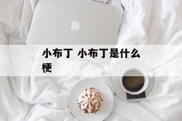 小布丁 小布丁是什么梗-第1张图片-