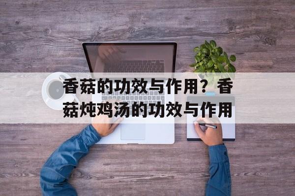 香菇的功效与作用？香菇炖鸡汤的功效与作用-第1张图片-