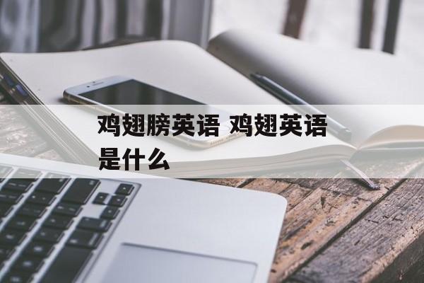 鸡翅膀英语 鸡翅英语是什么-第1张图片-