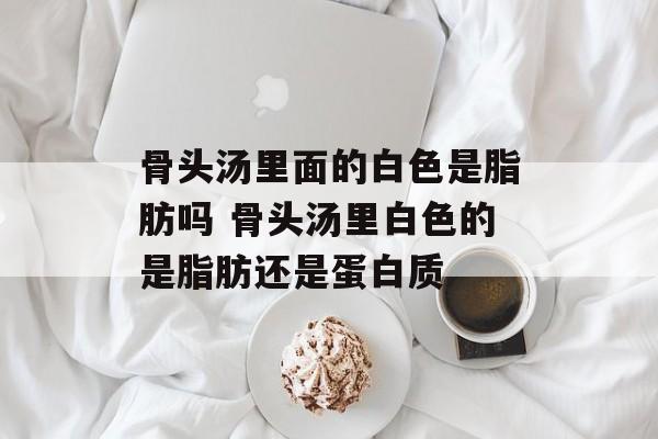 骨头汤里面的白色是脂肪吗 骨头汤里白色的是脂肪还是蛋白质-第1张图片-