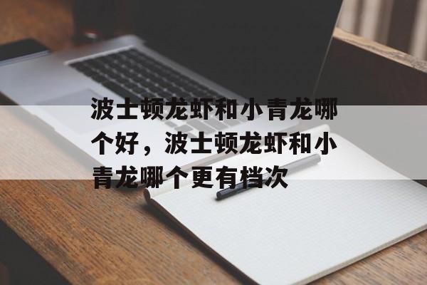 波士顿龙虾和小青龙哪个好，波士顿龙虾和小青龙哪个更有档次-第1张图片-
