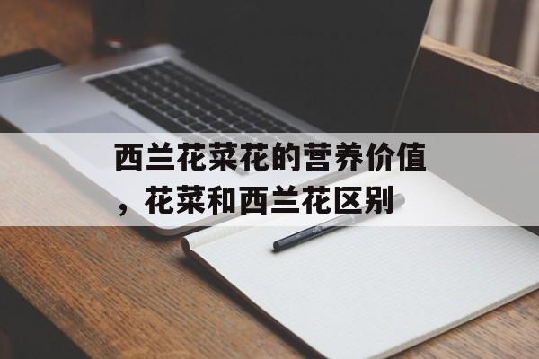 西兰花菜花的营养价值，花菜和西兰花区别-第1张图片-