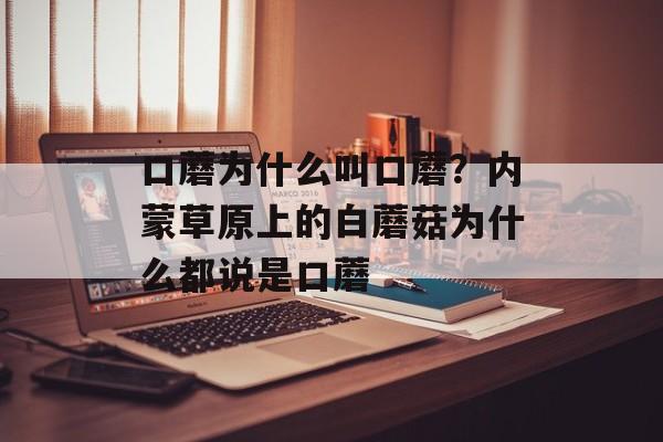 口蘑为什么叫口蘑？内蒙草原上的白蘑菇为什么都说是口蘑-第1张图片-