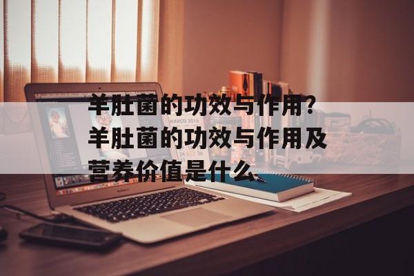 羊肚菌的功效与作用？羊肚菌的功效与作用及营养价值是什么-第1张图片-